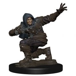 Gametraders Rouse Hill Dungeons & Dragons Pathfinder Unpainted Minis Human Male Rogue