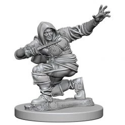Gametraders Rouse Hill Dungeons & Dragons Pathfinder Unpainted Minis Human Male Rogue