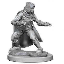Gametraders Rouse Hill Dungeons & Dragons Pathfinder Unpainted Minis Human Male Rogue