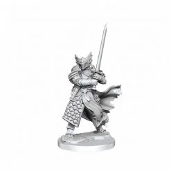 Gametraders Rouse Hill D&D Frameworks Dragonborn Paladin Male