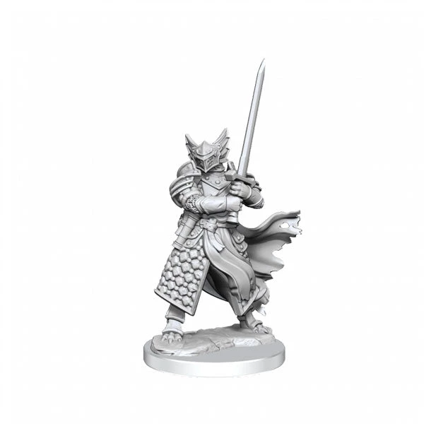 Gametraders Rouse Hill D&D Frameworks Dragonborn Paladin Male 3 Gametraders Rouse Hill D&D Frameworks Dragonborn Paladin Male