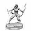 Gametraders Rouse Hill Dungeons & Dragons D&D Frameworks Human Rogue Female