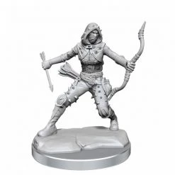 Gametraders Rouse Hill Dungeons & Dragons D&D Frameworks Human Rogue Female