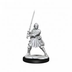 Gametraders Rouse Hill Dungeons & Dragons D&D Frameworks Human Fighter Female