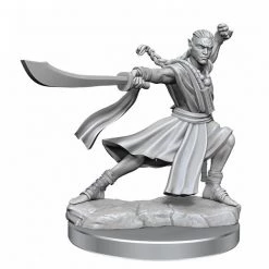 Gametraders Rouse Hill D&D Frameworks Elf Monk Male