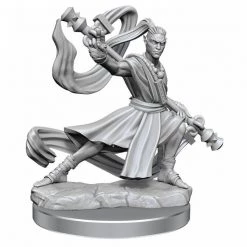 Gametraders Rouse Hill D&D Frameworks Elf Monk Male