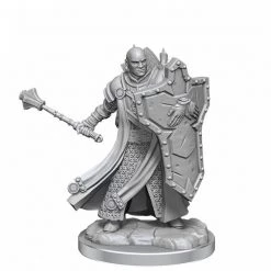 Gametraders Rouse Hill Dungeons & Dragons D&D Frameworks Human Cleric Male