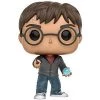 Funko Harry Potter - Harry With Prophecy Pop Vinyl Pop Vinyls