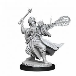 Gametraders Rouse Hill D&D Frameworks Human Wizard Male Dungeons & Dragons