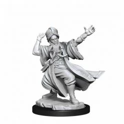 Gametraders Rouse Hill D&D Frameworks Human Wizard Male Dungeons & Dragons 7 Gametraders Rouse Hill D&D Frameworks Human Wizard Male Dungeons & Dragons