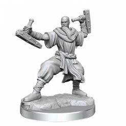 Gametraders Rouse Hill D&D Frameworks Human Monk Male
