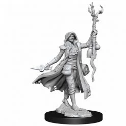 Gametraders Rouse Hill D&D Frameworks Human Druid Female
