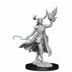 Gametraders Rouse Hill D&D Frameworks Human Druid Female