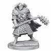 Gametraders Rouse Hill D&D Frameworks Human Male Fighter