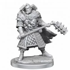 Gametraders Rouse Hill D&D Frameworks Human Male Fighter