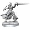 Gametraders Rouse Hill D&D Frameworks Tiefling Rogue Female Dungeons & Dragons