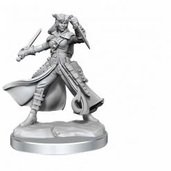 Gametraders Rouse Hill D&D Frameworks Tiefling Rogue Female Dungeons & Dragons