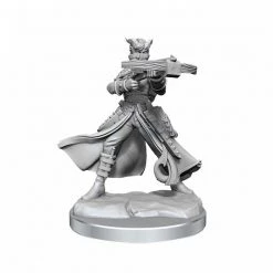 Gametraders Rouse Hill D&D Frameworks Tiefling Rogue Female Dungeons & Dragons