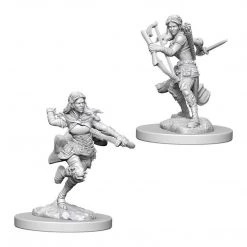 Gametraders Rouse Hill Dungeons & Dragons Dungeons And Dragons Unpainted Minis Air Genasi Female Rogue