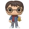 Gametraders Rouse Hill Pop Vinyls Harry Potter - Harry Holiday Pop! Vinyl