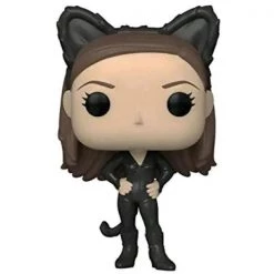 Gametraders Rouse Hill Friends - Monica Geller As Catwoman Pop! Vinyl