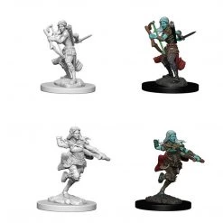 Gametraders Rouse Hill Dungeons & Dragons Dungeons And Dragons Unpainted Minis Air Genasi Female Rogue