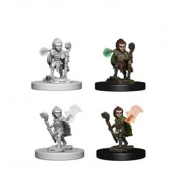 Gametraders Rouse Hill Pathfinder Unpainted Minis Gnome Male Druid