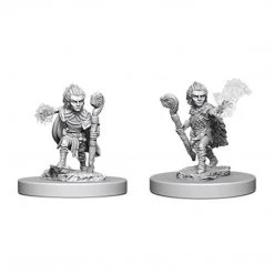 Gametraders Rouse Hill Pathfinder Unpainted Minis Gnome Male Druid