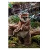 Gametraders Blacktown Collectables Star Wars - Wicket Return Of The Jedi 1:6 Scale Acton Figure 1 Gametraders Blacktown Collectables Star Wars - Wicket Return Of The Jedi 1:6 Scale Acton Figure