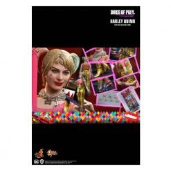 Gametraders Rouse Hill Collectables Birds Of Prey - Harley Quinn 1:6 Scale 12" Action Figure 27 Gametraders Rouse Hill Collectables Birds Of Prey - Harley Quinn 1:6 Scale 12
