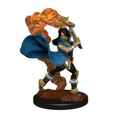 Gametraders Rouse Hill Pathfinder Deep Cuts Unpainted Minis Human Female Cleric Dungeons & Dragons