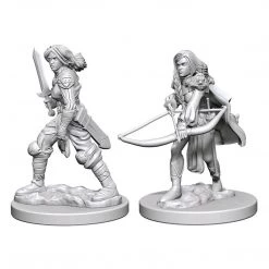 Gametraders Rouse Hill Dungeons & Dragons Pathfinder - Unpainted Human Female Fighter