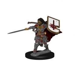 Gametraders Rouse Hill Pathfinder Unpainted Minis Human Female Paladin Dungeons & Dragons