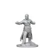 Gametraders Rouse Hill Pathfinder Deep Cuts Unpainted Minis Human Male Monk 2 Gametraders Rouse Hill Pathfinder Deep Cuts Unpainted Minis Human Male Monk