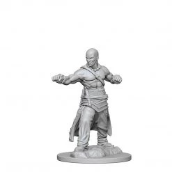 Gametraders Rouse Hill Pathfinder Deep Cuts Unpainted Minis Human Male Monk