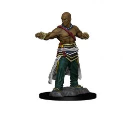Gametraders Rouse Hill Pathfinder Deep Cuts Unpainted Minis Human Male Monk