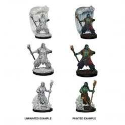 Gametraders Rouse Hill Dungeons And Dragons Unpainted Minis Male Druid Dungeons & Dragons