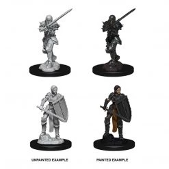 Gametraders Rouse Hill D&D - Unpainted Female Human Fighter Dungeons & Dragons