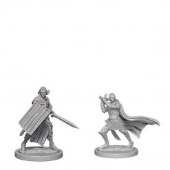 Gametraders Rouse Hill Pathfinder Unpainted Minis Elf Male Paladin Dungeons & Dragons