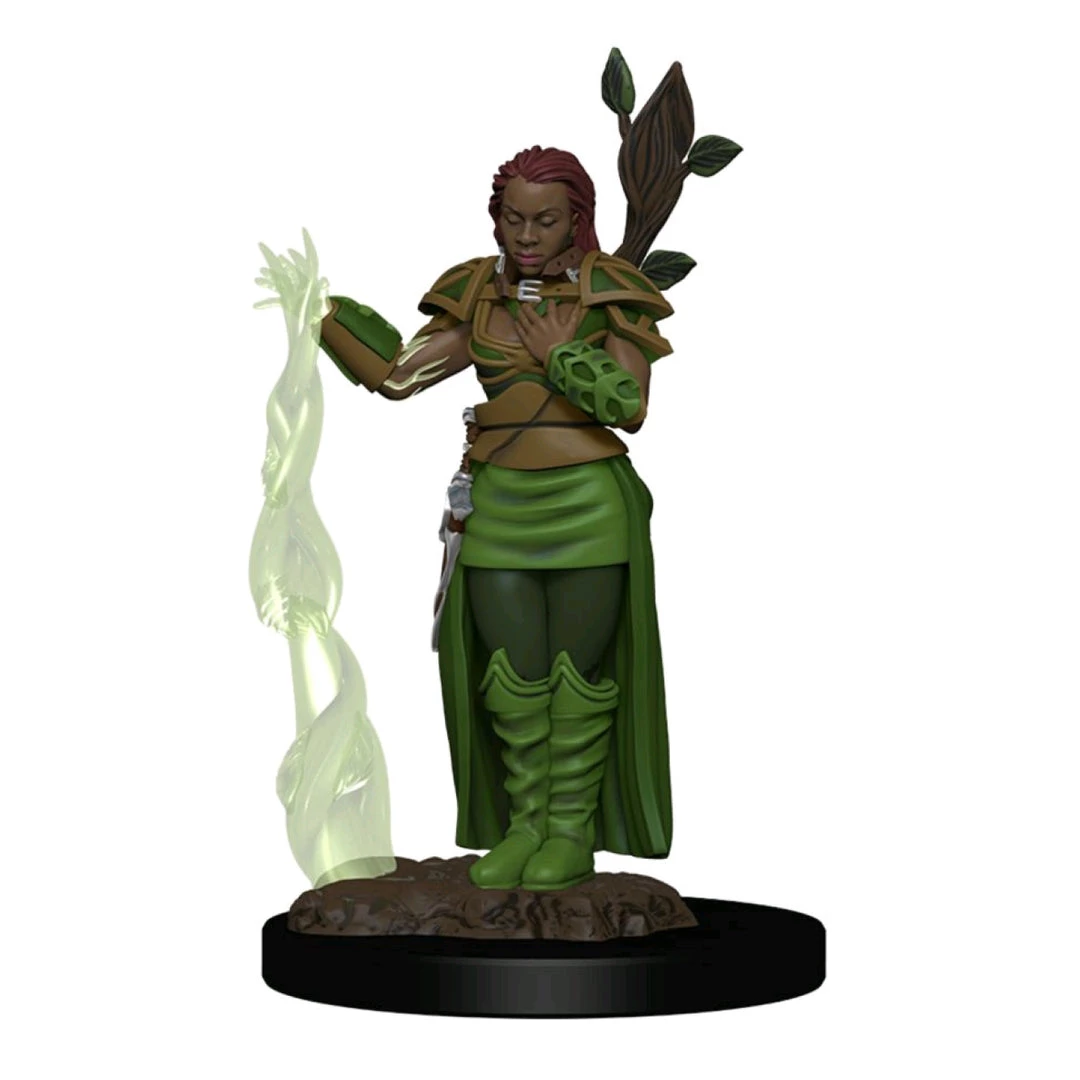 Gametraders Rouse Hill Dungeons & Dragons - Premium Human Female Druid 3 Gametraders Rouse Hill Dungeons & Dragons - Premium Human Female Druid