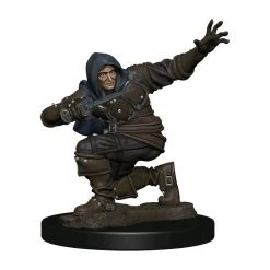 Gametraders Blacktown Pathfinder - Human Rogue Male Premium Figure