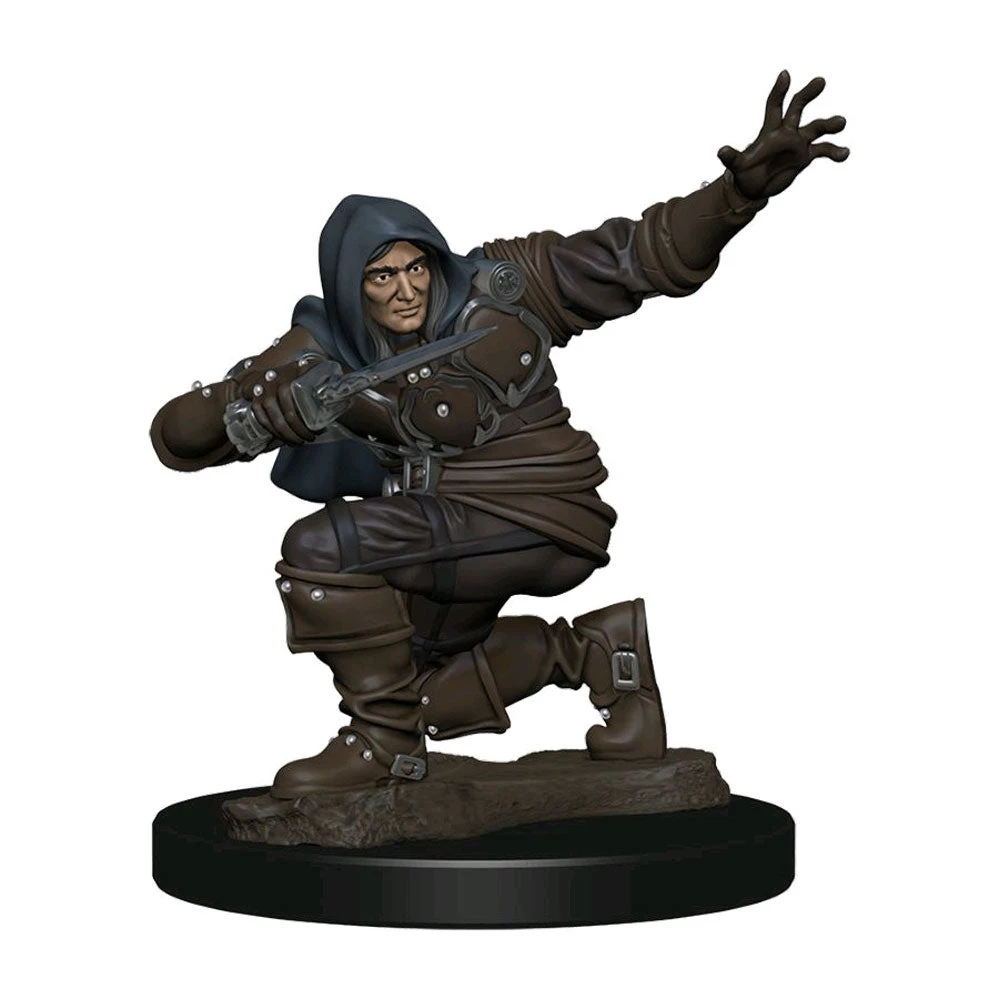 Gametraders Blacktown Pathfinder - Human Rogue Male Premium Figure 3 Gametraders Blacktown Pathfinder - Human Rogue Male Premium Figure