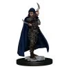 Gametraders Blacktown Pathfinder - Human Rogue Female Premium Figure