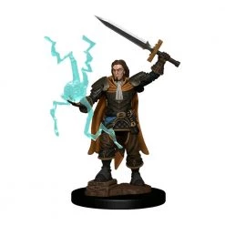 Gametraders Blacktown Dungeons & Dragons Pathfinder - Human Cleric Male Premium Figure