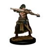 Gametraders Blacktown Pathfinder - Half-Elf Ranger Male Premium Figure