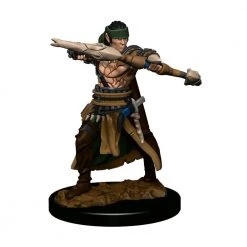 Gametraders Blacktown Pathfinder - Half-Elf Ranger Male Premium Figure