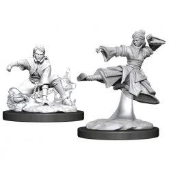 Gametraders Rouse Hill Dungeons & Dragons - Nolzur’s Marvelous Unpainted Minis: Female Human Monk