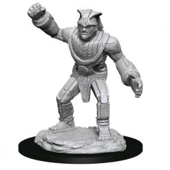 Gametraders Blacktown Dungeons & Dragons Dungeons And Dragons Nolzurs Marvelous Unpainted Minis Stone Golem