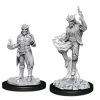 Gametraders Rouse Hill Dungeons & Dragons-Unpainted Male Tiefling Sorcerer 2 Gametraders Rouse Hill Dungeons & Dragons-Unpainted Male Tiefling Sorcerer