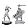 Gametraders Rouse Hill Dungeons & Dragons-Unpainted Male Human Paladin 2 Gametraders Rouse Hill Dungeons & Dragons-Unpainted Male Human Paladin